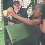 İstanbul’da şüpheliyim: Evinde yarım fındık bulundu!