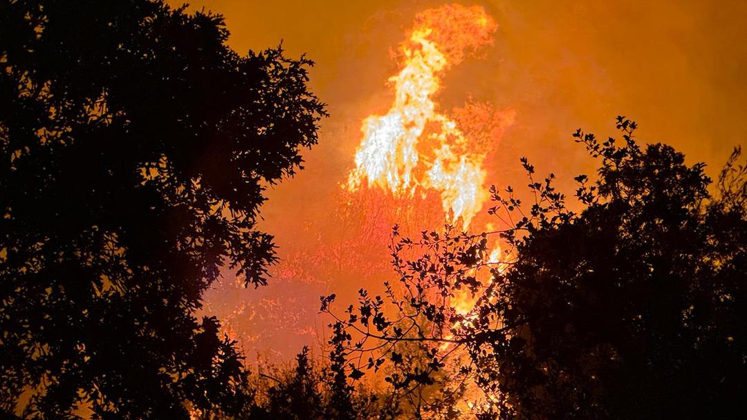 Antalya ve Mukla'daki orman yangınları! Alevler mahalleleri kuşattı, evde atladılar ... 8