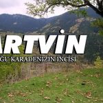 Doğanın kalbinde saklı sır: Artvin