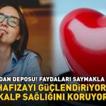 Antioksidan deposu! Her şeyi içerir: Omega-3 yağ asitleri, E, C ve K vitaminleri! Hafızayı güçlendirir, kalp sağlığını korur