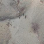 Kaçak Avcılara Yüksek Ceza Uygulandı